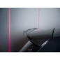 Spoiler Cap BMW 1 E81/ E87 FACELIFT (AERO SPOILER) (Cod. M-BM-1-81F-CAP1G)