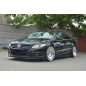 Diffusori minigonne VW PASSAT CC STANDARD (Cod. M-VW-PA-CC-SD1G)