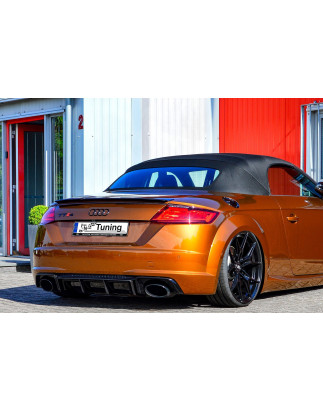 Kit pinne posteriori per diffusore Audi TT RS 8S (Cod. IN-INE-380045CRSRT-ABS)