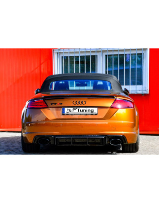 Kit pinne posteriori per diffusore Audi TT RS 8S (Cod. IN-INE-380045CRSRT-ABS)