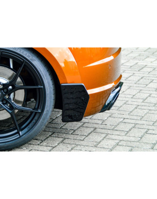Set canards/flaps Audi TT RS 8S (Cod. IN-INE-380060CRSL/R)