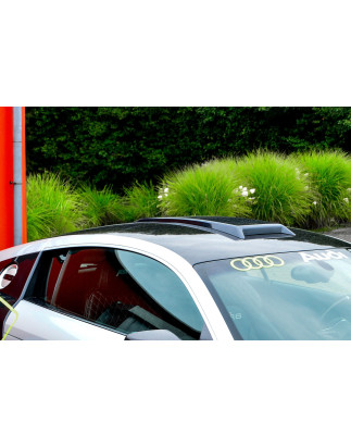 Design Dachhutze im Racestyle (geschlossene Version) Audi R8 42 (Cod. IN-INE-400065-ABS)