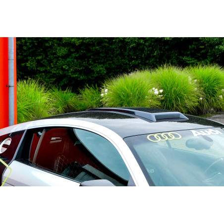 Design Dachhutze im Racestyle (geschlossene Version) Audi R8 42 (Cod. IN-INE-400065-ABS)
