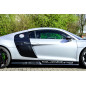 Minigonne im Cup Look con flaps laterali (per V10 ) Audi R8 42 (Cod. IN-INE-400950-ABS-C) Minigonne im Cup Look con flaps laterali (per V10 ) Audi R8 42 (Cod. IN-INE-400950-ABS-C)