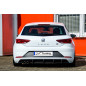Kit pinne posteriori per diffusore e Seiten Flaps                                          Seat Leon