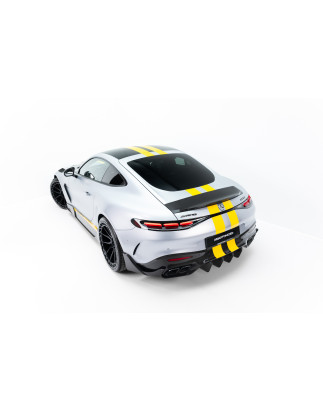 Prepreg Carbon Spoiler V.2 Mercedes-AMG GT 43 / 55 / 63 / 63 S E Performance C192 (Cod. M-CF-ME-AMG-