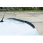 Spoiler Cap Renault Megane IV RS (Cod. M-RE-ME-4-RS-CAP1G) Spoiler Cap Renault Megane IV RS (Cod. M-RE-ME-4-RS-CAP1G)