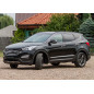 HYUNDAI SANTA FE III DM 2012-2018 COPRIMANIGLIE (Cod. AP-997_A4x4)