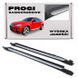 BMW X6 E71/E72 2007-2014 PEDANE LATERALI SOTTOPORTA (Cod. AP-20111_A4x4)