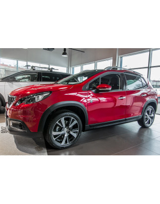 PEUGEOT 2008 E 2013-2016 COPRIMANIGLIE (Cod. AP-36393_A4x4)