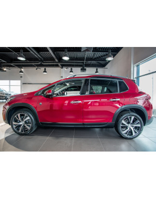 PEUGEOT 2008 E 2013-2016 COPRIMANIGLIE (Cod. AP-36393_A4x4)