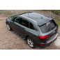 AUDI Q5 8R 2008-2017 PEDANE LATERALI SOTTOPORTA (Cod. AP-39131_A4x4)