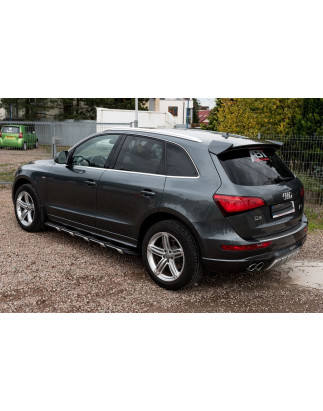 AUDI Q5 8R 2008-2017 PEDANE LATERALI SOTTOPORTA (Cod. AP-39131_A4x4)