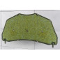 MAZDA 3 II BL 2008-2013 PANNELLO FONOASSORBENTE COFANO BBM756681 (Cod. AP-39445_A4x4)