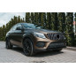 MERCEDES GLE COUPE C292 2015-2019 MASCHERINA CON TELECAMERA GT PANAMERICANA ARGENTO (Cod. AP-47900_A