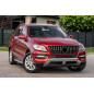 MERCEDES ML W166 2011-2015 MASCHERINA GT PANAMERICANA ARGENTO (Cod. AP-47908_A4x4)