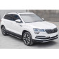 SKODA KAROQ 2017+ PEDANE LATERALI SOTTOPORTA (Cod. AP-50465_A4x4)