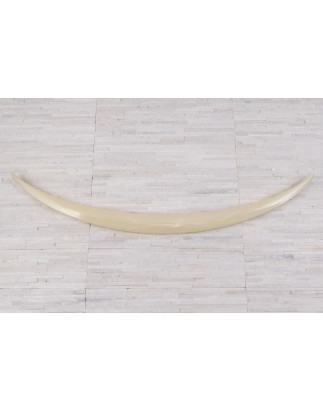 MERCEDES C-CLASS W205 2014-2021 SPOILER PORTELLONE POSTERIORE (Cod. AP-51914_A4x4)
