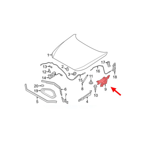 BMW SERIA 1 F21 F21N 2011-2019 CERNIERA COPERTURA COFANO SINISTRO 41617286343 (Cod. AP-53193_A4x4)