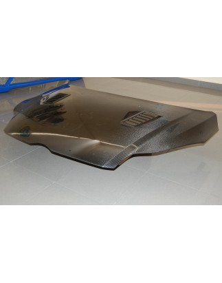 Cofano Carbonio Ford Focus 2012-2015 RS (Cod. E-TCF2012)