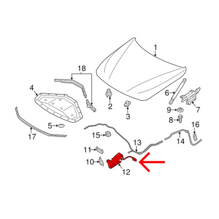 BMW SERIA 1 F21 2011-2019 DESTRO INFERIORE SERRATURA COPERTURA MOTORE 51237242549 (Cod. AP-53608_A4x