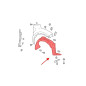 TOYOTA C-HR AX10 2016+ PASSARUOTA ANTERIORE DESTRO 53875F4021 (Cod. AP-55763_A4x4)