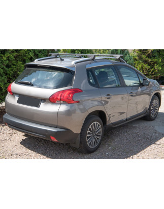 PEUGEOT 2008 E A94 2013-2019 PARASPRUZZI (Cod. AP-2D6D-75655_A4x4)