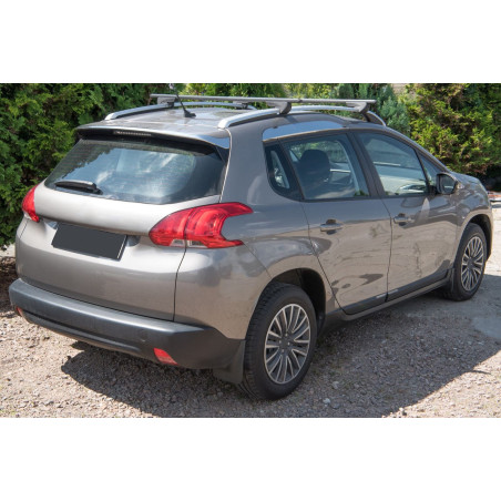 PEUGEOT 2008 E A94 2013-2019 PARASPRUZZI (Cod. AP-2D6D-75655_A4x4)