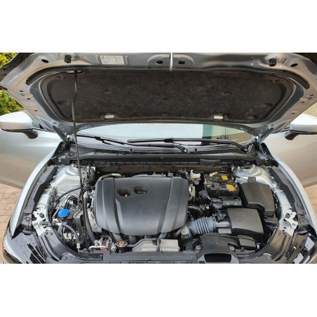 MAZDA 6 III GJ 2016-2018 DOPO IL PRIMO RESTYLING CERNIERA COPERTURA COFANO DESTRO GHP952410B (Cod. A