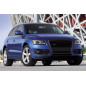 AUDI Q5 / SQ5 8R 2008-2012 PRE-RESTYLING NERA CORNICE MASCHERINA 8R0853651C (Cod. AP-034B-32301_A4x4