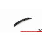 Sottoparaurti posteriore Lexus IS F Mk2 (Cod. M-LE-ISF-2-RS1G)