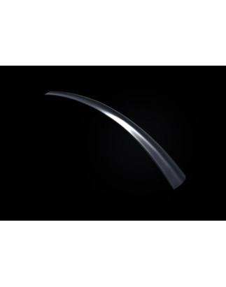 Spoiler baule Audi A5 (Cod. S-HFAUA5-1)