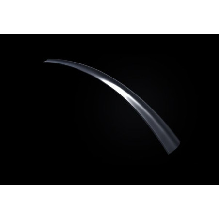Spoiler baule Audi A5 (Cod. S-HFAUA5-1)