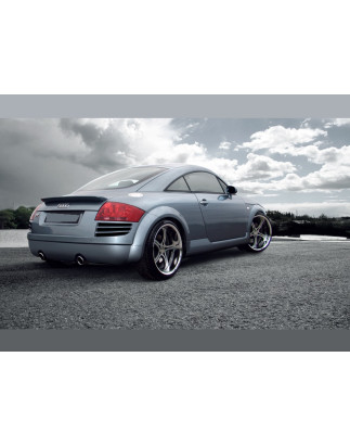 Paraurti posteriore Audi TT (Cod. S-ATT-R-1-C)