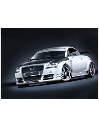 Minigonne laterali Audi TT (Cod. S-SSAUTT-01)
