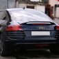 Spoiler baule Audi TT 8J (Cod. S-AUTT8J-SP-01)