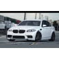 Paraurti anteriore BMW F10 (Cod. S-BF10-F-01)