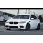 Minigonne laterali BMW F10 (Cod. S-BF10-S-01)