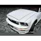 Cofano Ford MUSTANG (Cod. S-MHFMS-1)