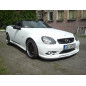 Paraurti anteriore Mercedes W170 (Cod. S-FSTMSLK-2)