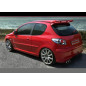 Spoiler tetto Peugeot 206 (Cod. S-HFPE206-2)