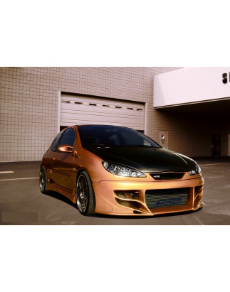 Paraurti anteriore Peugeot 206 (Cod. S-P206-F-01)