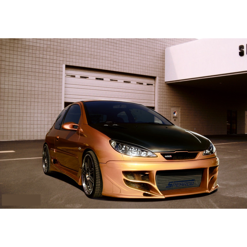 Paraurti anteriore Peugeot 206 (Cod. S-P206-F-01)