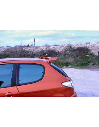 Kit wide body Peugeot 206 (Cod. S-WBKP206-02)