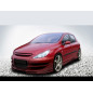 Paraurti anteriore Peugeot 307 (Cod. S-FSTPE307-1)
