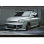 Minigonne laterali Renault CLIO 2 (Cod. S-RCII-S-01)
