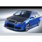 Paraurti anteriore Skoda FABIA (Cod. S-FSTKF-1)