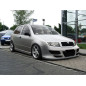 Paraurti anteriore Skoda FABIA (Cod. S-SKF-F-1-C)