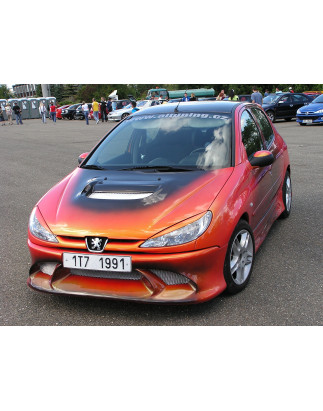 Paraurti anteriore Peugeot 206 (Cod. S-P206-F-2-K)