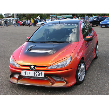 Paraurti anteriore Peugeot 206 (Cod. S-P206-F-2-K)